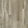 AR136 Everstill Forest Lite