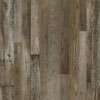 AR141 Petrified Forest Lite