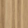 AR170 Carolina Hickory